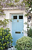 WISTERIA, ROSA, EUONYMUS & EUPHORBIA AROUND COTTAGE DOORWAY