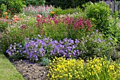 HELIANTHEMUM, GERANIUM, PHLOX & LYCHNIS, MIXED HERBACEOUS BORDER, JUNE