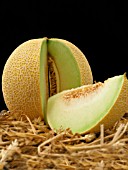 CANTALOUPE MELON