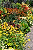 HERBACEOUS BORDER, HOT COLOURS, WEST DEAN GARDENS, JULY