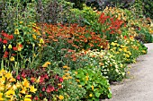 HERBACEOUS BORDER, HOT COLOURS, WEST DEAN GARDENS, JULY