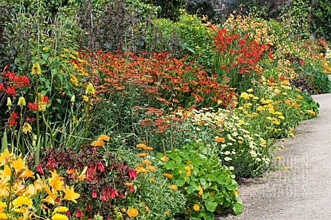 HERBACEOUS_BORDER_HOT_COLOURS_WEST_DEAN_GARDENS_JULY