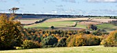 SUSSEX DOWNS,  AUTUMN COLOUR,  OCTOBER