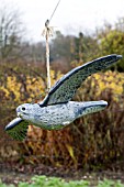 BIRD SCARER DECOY,  SPARROWHAWK,  OVER BRASSICAS,  NOVEMBER