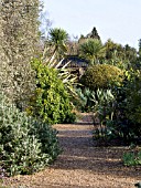 GRAVEL PATHWAYS MEANDERING THROUGH GRAVEL COVERED PLANTING SCHEMES