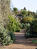 GRAVEL PATHWAYS MEANDERING THROUGH GRAVEL COVERED PLANTING SCHEMES