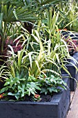 DECORATIVE RAISED PLANTING BEDS FROM RAILWAY SLEEPERS