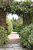 ARCHWAY TO GRAVEL BEDS WITH CLIPPED BOX & EUPHORBIA