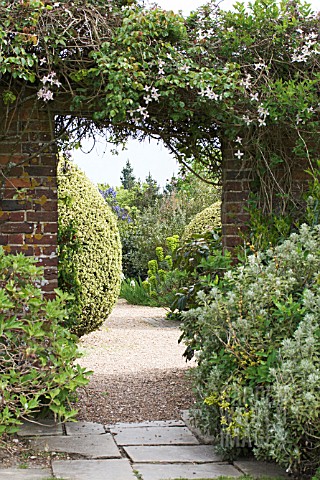 ARCHWAY_TO_GRAVEL_BEDS_WITH_CLIPPED_BOX__EUPHORBIA