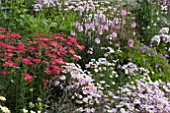 MIXED HERBACEOUS BORDER AT MERRIMENTS GARDEN