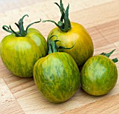 TOMATO GREEN ZEBRA