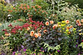 MIXED HOT BORDER AT GREAT DIXTER