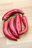 CHILLI RED DEVIL