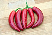 CHILLI RED DEVIL