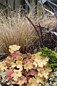 HEUCHERA MARMALADE, PHORMIUM, CAREX COMBINATION