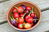 BOWL OF CAPSICUM ANNUUM LOCO