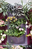 VERTICAL SPRING CONTAINER GARDENING