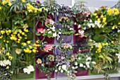 VERTICAL SPRING CONTAINER GARDENING