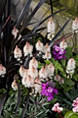 TIARELLA SPRING SYMPHONY, ERYSIMUM BOWLES MAUVE, PHORMIUM BRONZE BABY