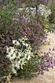 SUMMER BORDER AT PARHAM HOUSE GARDENS