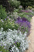 BORDER AT PARHAM HOUSE GARDENS