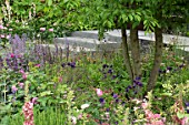 THE CHELSEA BARRACKS GARDEN DESIGNED BY JO THOMPSON  GOLD MEDAL WINNER