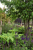 THE CHELSEA BARRACKS GARDEN DESIGNED BY JO THOMPSON  GOLD MEDAL WINNER