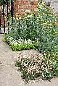 THE HARRODS BRITISH ECCENTRICS GARDEN DESIGNED BY DIARMUID GAVIN  SILVER GILT MEDAL WINNER