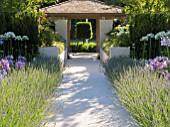 JUST RETIREMENT GARDEN DESIGNED BY JACK DUNCKLEY WITH AGAPANTHUS WHITE HEAVEN AND LAVANDULA X INTERMEDIA SUSSEX