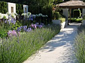 JUST RETIREMENT GARDEN DESIGNED BY JACK DUNCKLEY WITH AGAPANTHUS WHITE HEAVEN AND LAVANDULA X INTERMEDIA SUSSEX