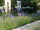 JUST RETIREMENT GARDEN DESIGNED BY JACK DUNCKLEY WITH AGAPANTHUS WHITE HEAVEN AND LAVANDULA X INTERMEDIA SUSSEX