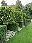 JUST RETIREMENT GARDEN  DESIGNED BY JACK DUNCKLEY WITH TOPIARY- BUXUS SEMPERVIRENS AND LAURUS NOBILIS