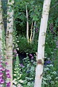 THE HARTLEY BOTANIC GARDEN DESIGNED BY CATHERINE MACDONALD  SILVER GILT MEDAL WINNER