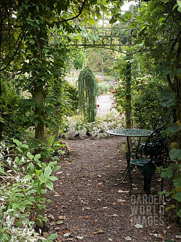 TABLE_AND_CHAIRS_IN_AN_AUTUMN_GARDEN