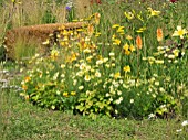 JORDANS WILDLIFE GARDEN DESIGNED BY SELINA BOTHAM. NATURAL PLANTING WITH SCULPTURED STRAW BENCH