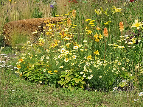 JORDANS_WILDLIFE_GARDEN_DESIGNED_BY_SELINA_BOTHAM_NATURAL_PLANTING_WITH_SCULPTURED_STRAW_BENCH