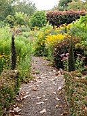 AN AUTUMN BORDER WITH RUDBECKIA  ASTERS AND SEDUM