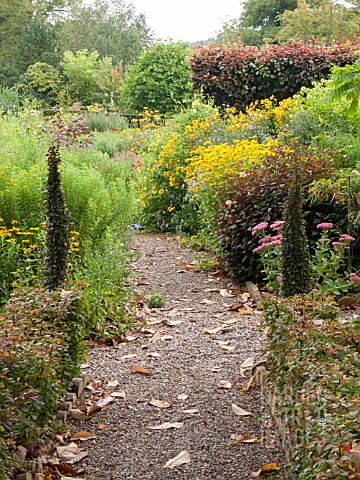 AN_AUTUMN_BORDER_WITH_RUDBECKIA__ASTERS_AND_SEDUM