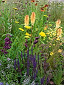 MIXED PLANTING IN JORDANS WILDLIFE GARDEN DESIGNED BY SELINA BOTHAM.