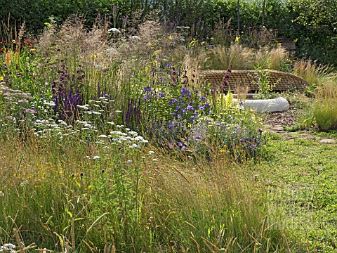 JORDANS_WILDLIFE_GARDEN_DESIGNED_BY_SELINA_BOTHAM_NATURAL_PLANTING_WITH_SCULPTURED_STRAW_BENCH