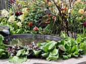 BACCHUS GARDEN  DESIGNED BY JEAN WARDROP (WARDROP DESIGNS) SILVER MEDAL WINNER WITH A THREE TIER WATER FEATURE AND GRAPE VINES.