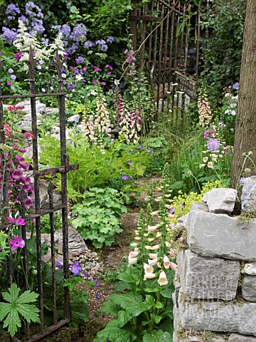 THE_FORGOTTEN_FOLLY_GARDEN_DESIGNED_BY_LYNN_RICHES__MARK_LIPPIATT