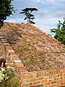 SEDUM GREEN ROOF AT MACMILLAN LEGACY GARDEN  GARDEN DESIGNED BY REBECCA GOVIER (GREEN EDGE GARDEN DESIGN)