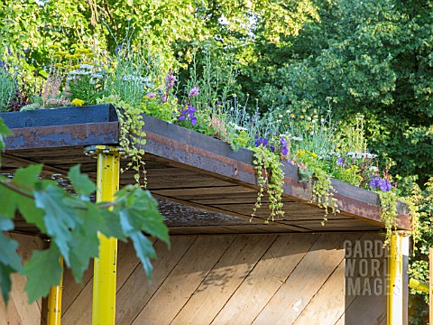 GREEN_ROOF_WITH_FLOWERS__THE_SPACE_TO_CONNECT__GROW_SUMMER_GARDEN_DESIGNED_BY_JENI_CAIRNS