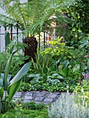 DICKSONIA ANTARCTICA UNDERPLANTED WITH HOSTA  FERNS AND HEDERA