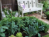 WILDLIFE FRIENDLY GARDEN IN THE HEDGEHOG STREET BEST SMALL GARDEN DESIGNED BY TRACY FOSTER