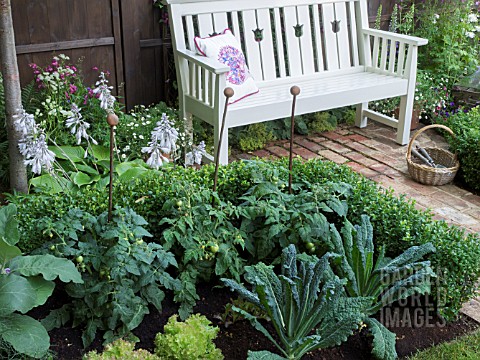 WILDLIFE_FRIENDLY_GARDEN_IN_THE_HEDGEHOG_STREET_BEST_SMALL_GARDEN_DESIGNED_BY_TRACY_FOSTER