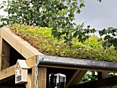GREEN SEDUM ROOF WITH AN INSECT HOTEL ON THE VISIBLE GARDEN DESIGNED BY STEPHEN HALL DESIGNS LTD