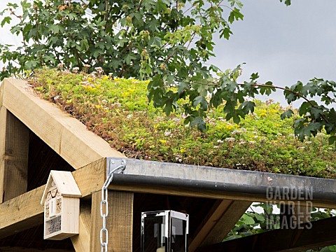 GREEN_SEDUM_ROOF_WITH_AN_INSECT_HOTEL_ON_THE_VISIBLE_GARDEN_DESIGNED_BY_STEPHEN_HALL_DESIGNS_LTD