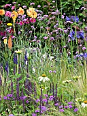 COTTAGE GARDEN PLANTING